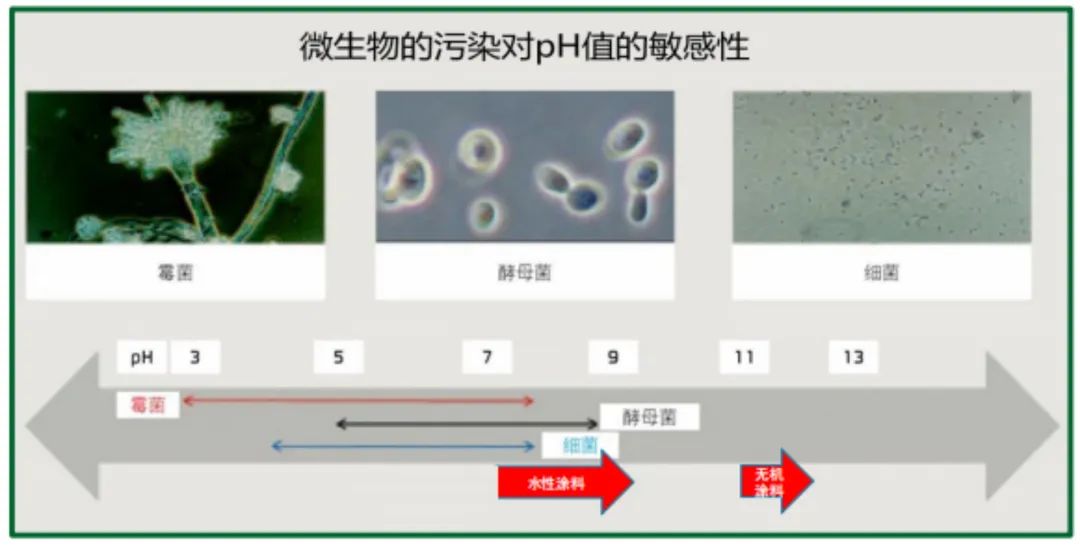 久諾高效無機涂料抗菌